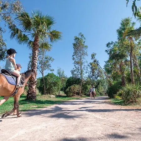 Bj Riviera * Grimaud