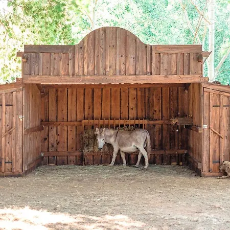 Kamp alanı Bj Riviera *