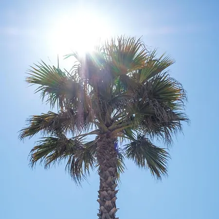 Bj Riviera Kamp alanı *